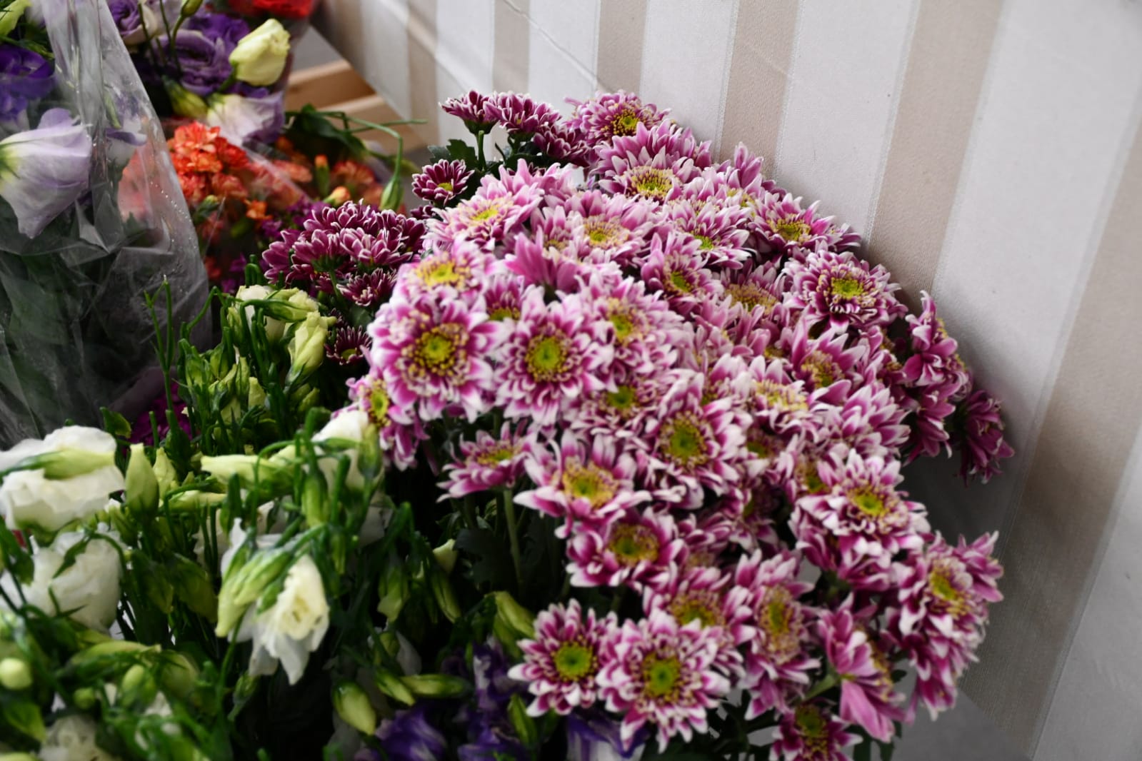 WhatsApp Image 2020-05-22 at 4.35.57 PM (1).jpeg.jpeg